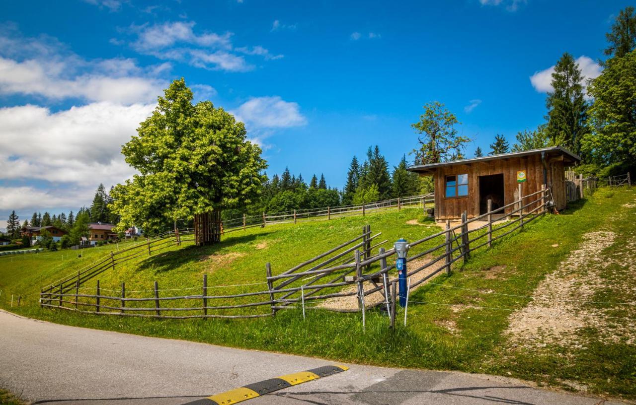 Daarhof Daire Wagrain Dış mekan fotoğraf