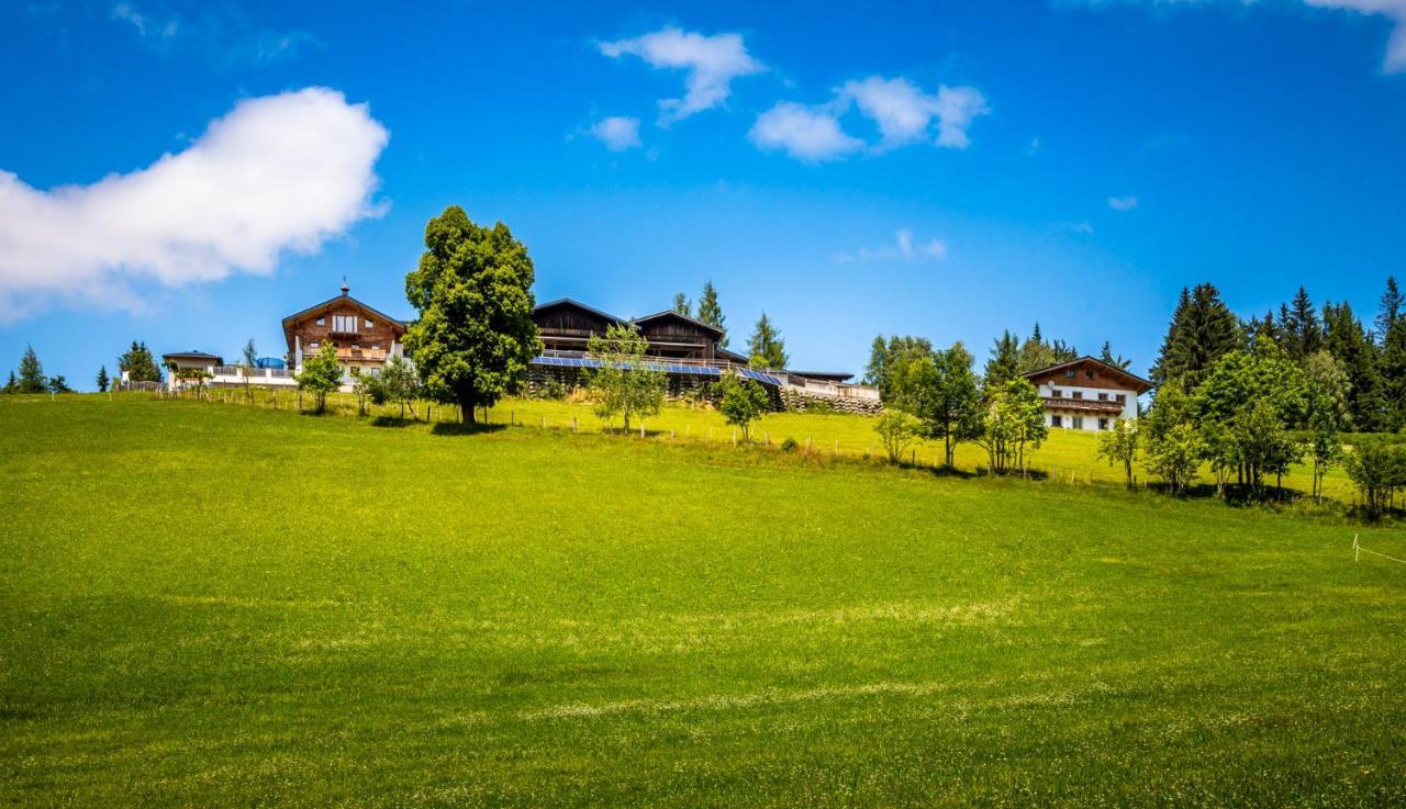 Daarhof Daire Wagrain Dış mekan fotoğraf